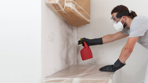 Professional Attic Mold Removal technician working in Robbinsville, NJ
