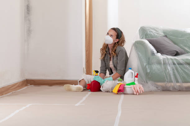Reliable Attic Mold Removal contractor in Robbinsville, NJ by WQB Mold Removal